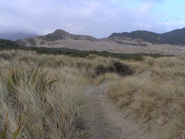 Steward Island 028.jpg